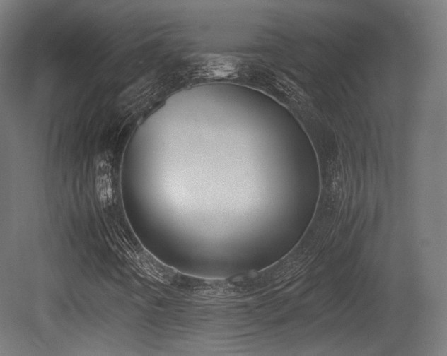 X0000081271442200701111254