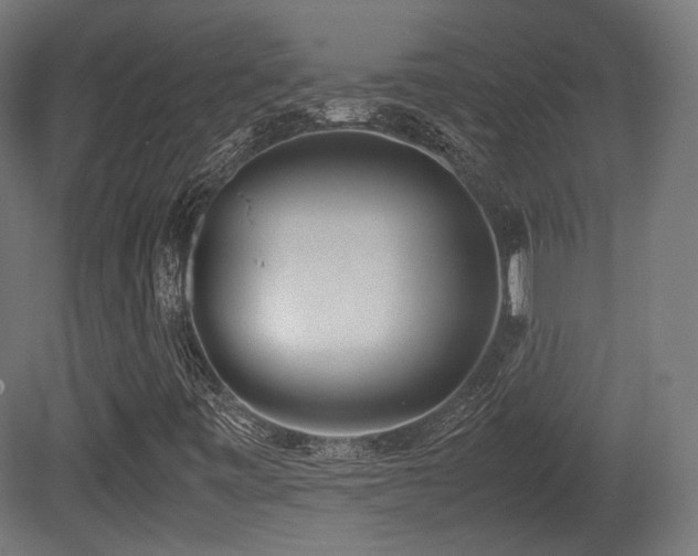 X0000081271443200701111254