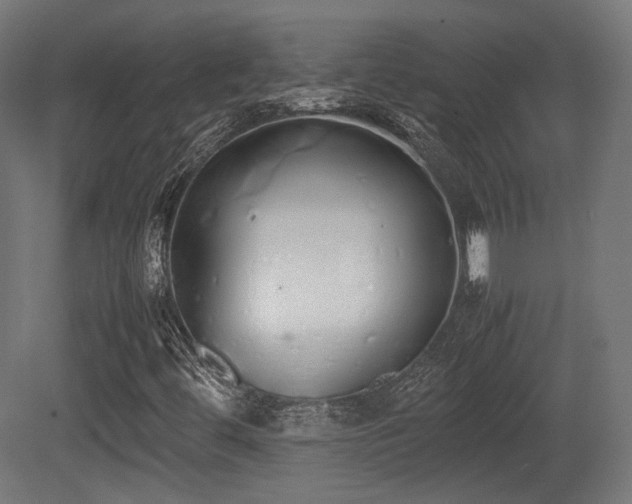 X0000081271444200701111254