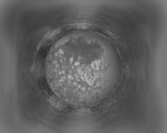 X0000081271446200701111254