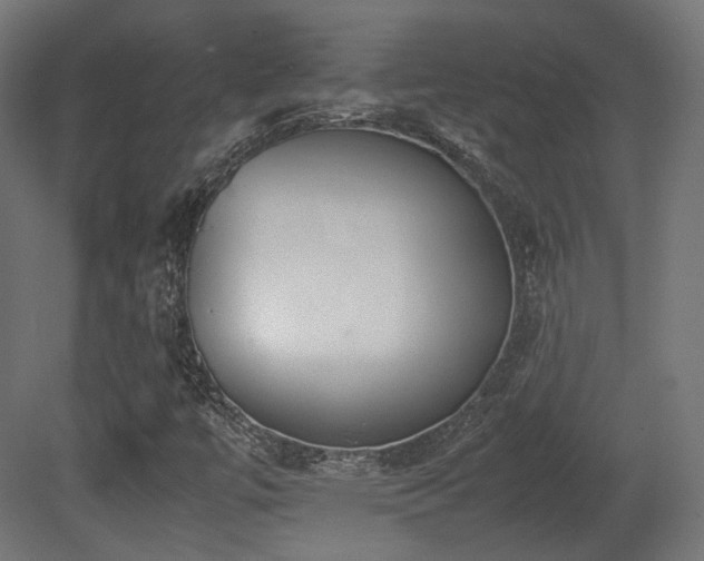 X0000081271447200701111254