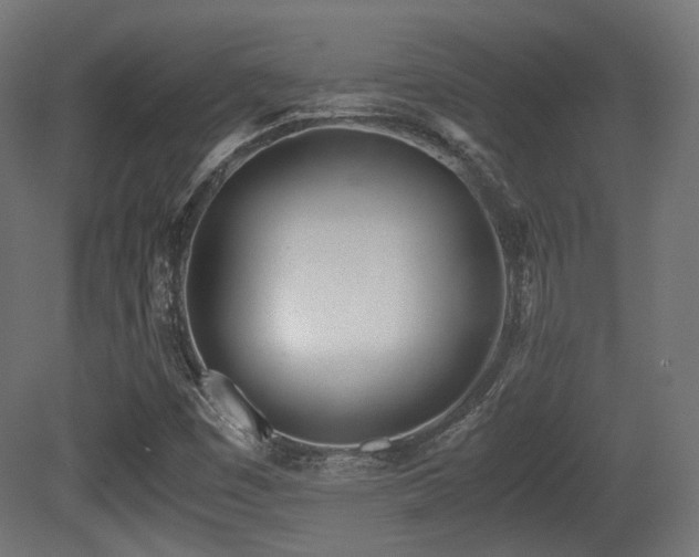 X0000081271449200701111254