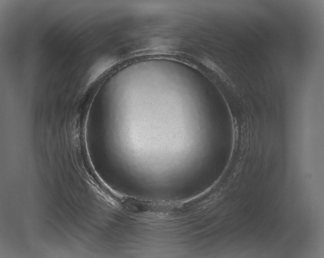 X0000081271450200701111254