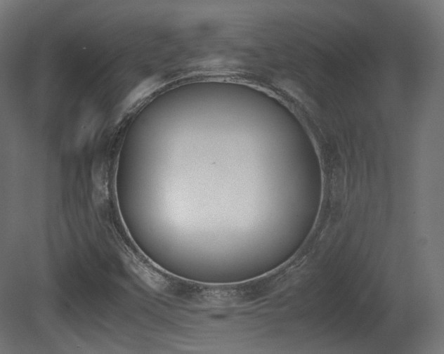 X0000081271451200701111254