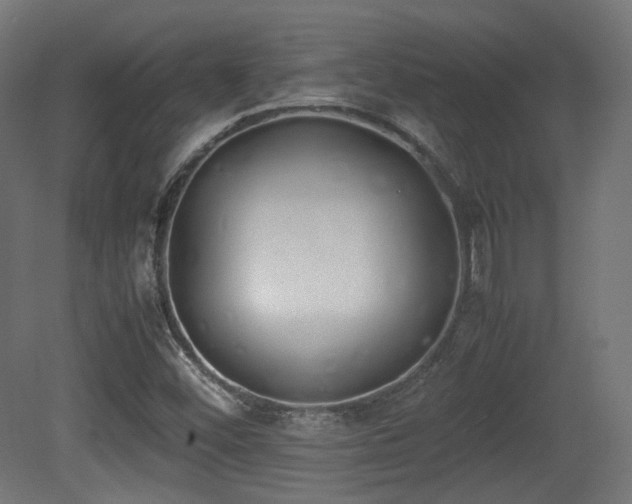 X0000081271452200701111254