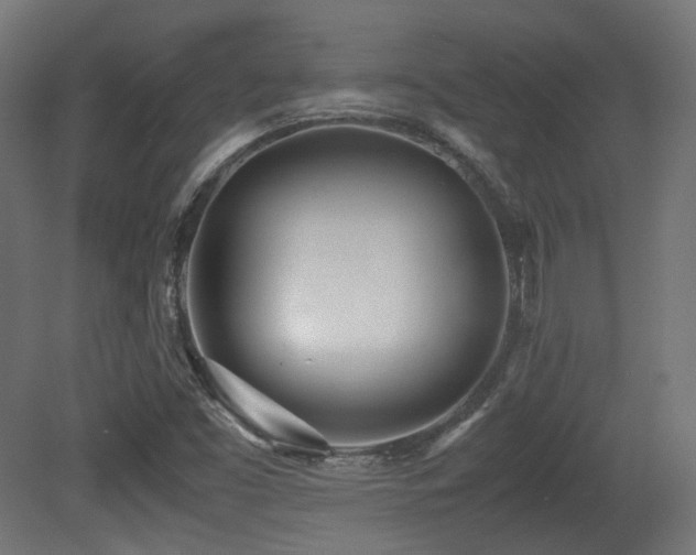 X0000081271453200701111253