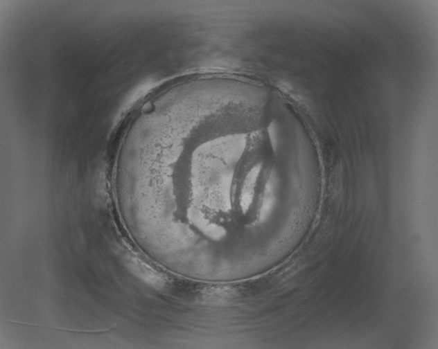 X0000081271454200701111253