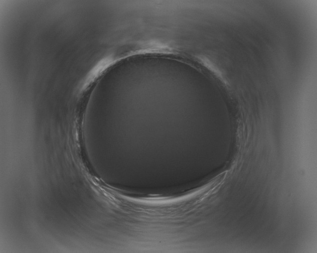 X0000081271455200701111253