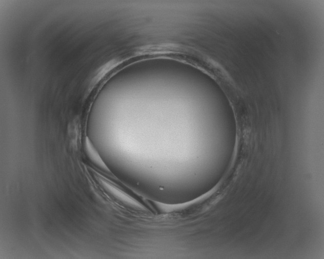 X0000081271457200701111253