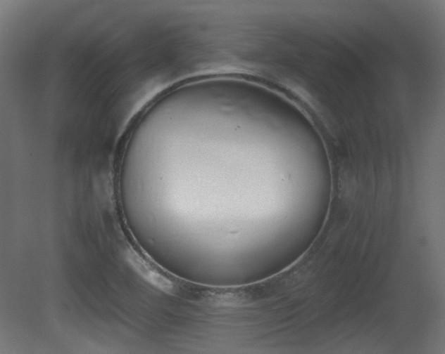 X0000081271460200701111253