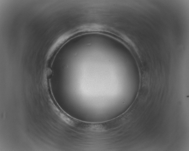 X0000081271464200701111253