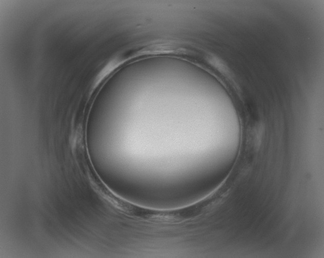 X0000081271465200701111253