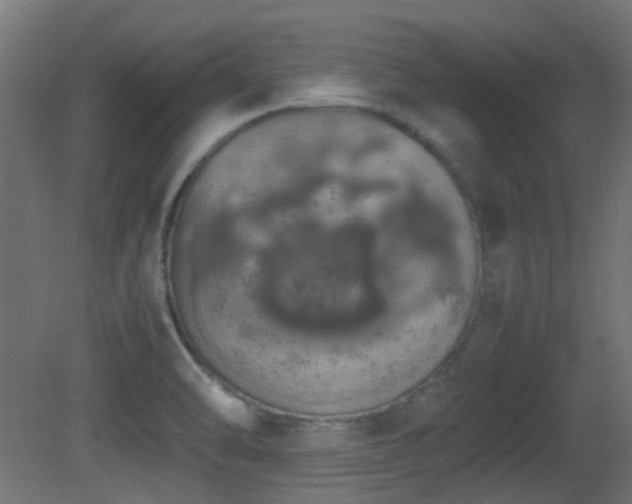X0000081271470200701111253