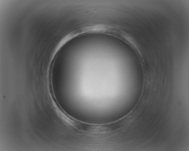 X0000081271475200701111253