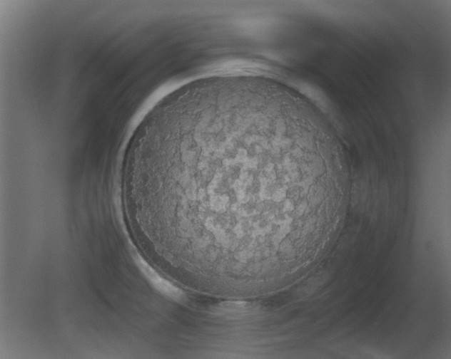 X0000081271478200701111253