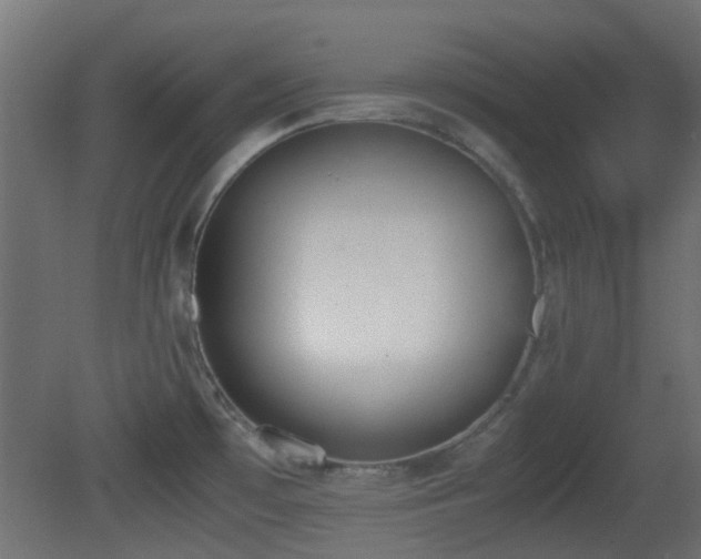X0000081271481200701111253