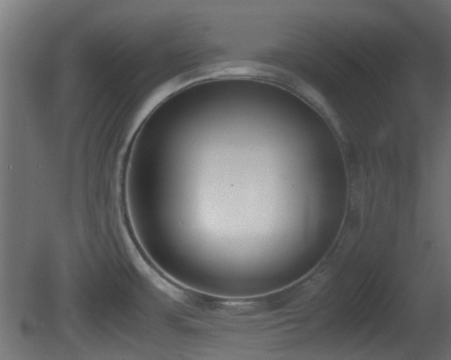 X0000081271483200701111253