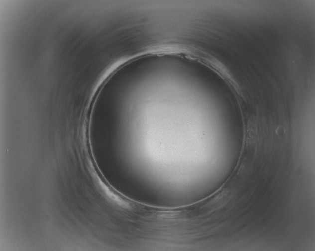 X0000081271484200701111253