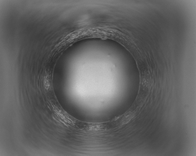 X0000081271490200701111252