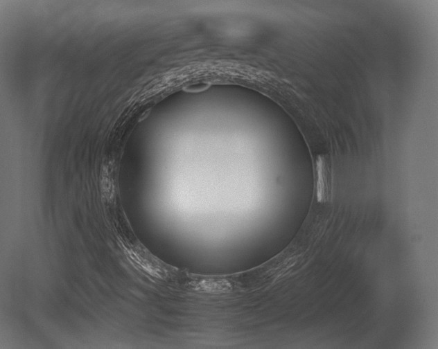 X0000081271491200701111252