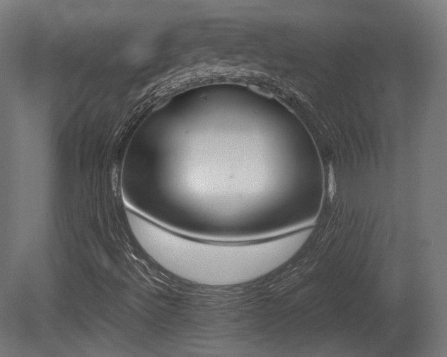X0000081271492200701111252