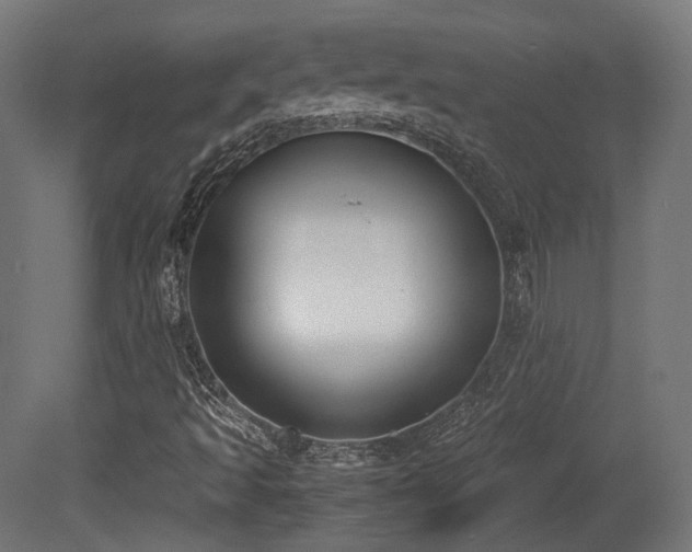 X0000081271493200701111252