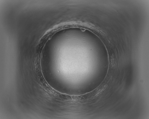 X0000081271494200701111252