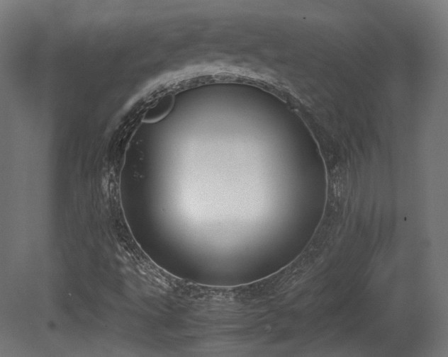 X0000081271495200701111252
