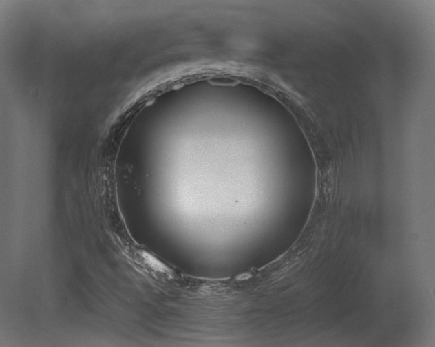 X0000081271496200701111252
