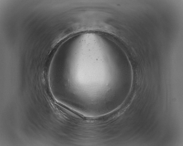 X0000081271497200701111252
