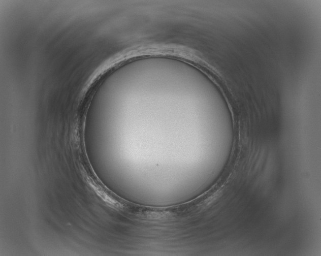 X0000081271498200701111252