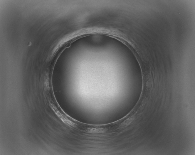 X0000081271499200701111252