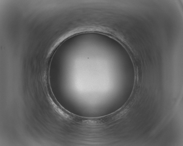 X0000081271500200701111252