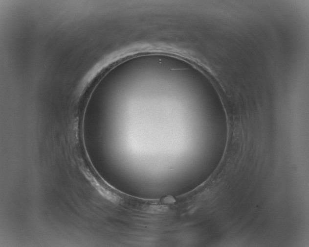 X0000081271503200701111252