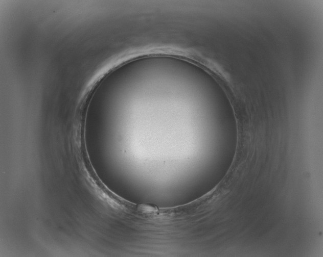 X0000081271504200701111252