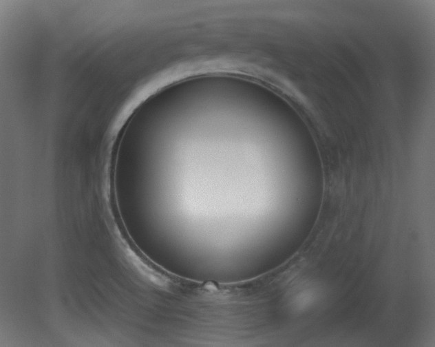 X0000081271512200701111252