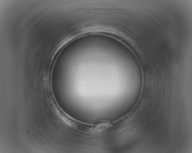 X0000081271513200701111253