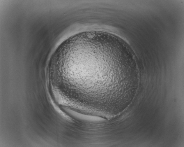 X0000081271515200701111253