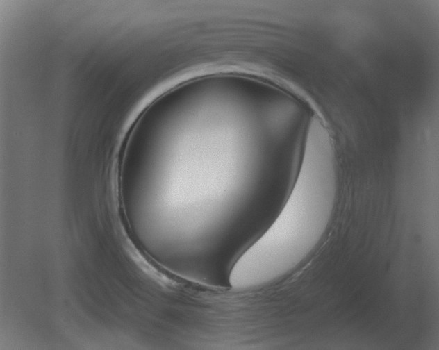 X0000081271516200701111253
