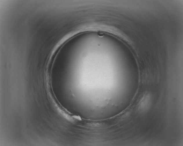 X0000081271517200701111253