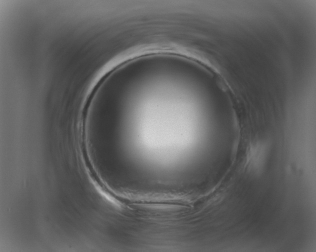 X0000081271519200701111253