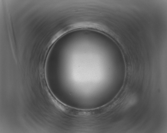 X0000081271521200701111253