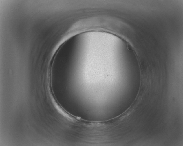 X0000081271526200701111253