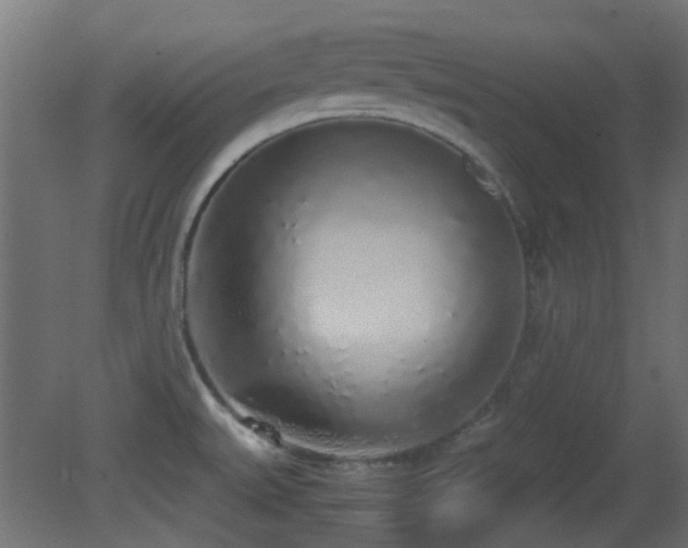 X0000081271527200701111253