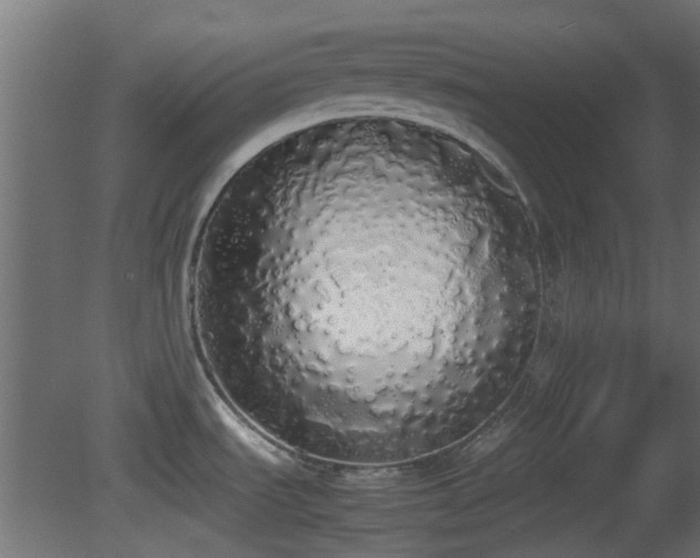 X0000081271535200701111253