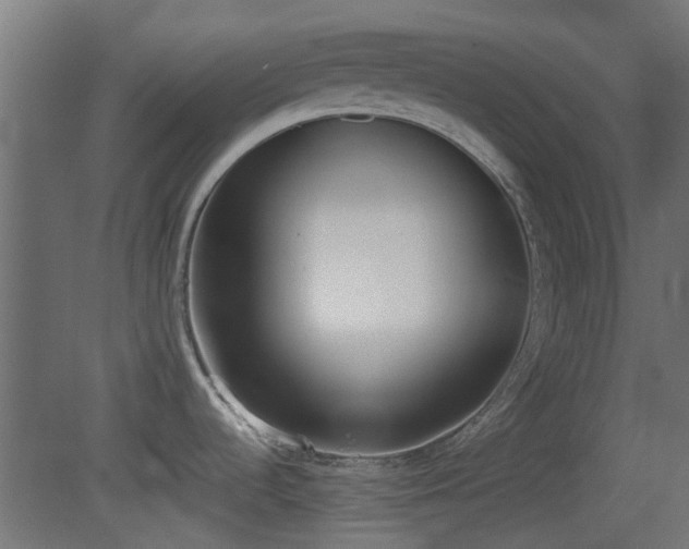 X0000081271536200701111253