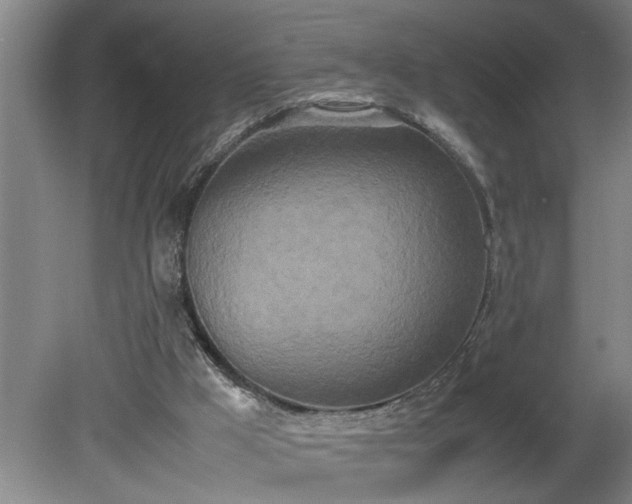 X0000081270009200701181729