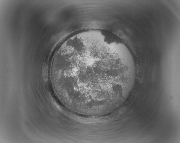 X0000081270012200701181729