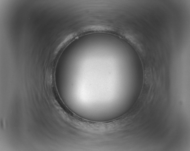 X0000081270015200701181729