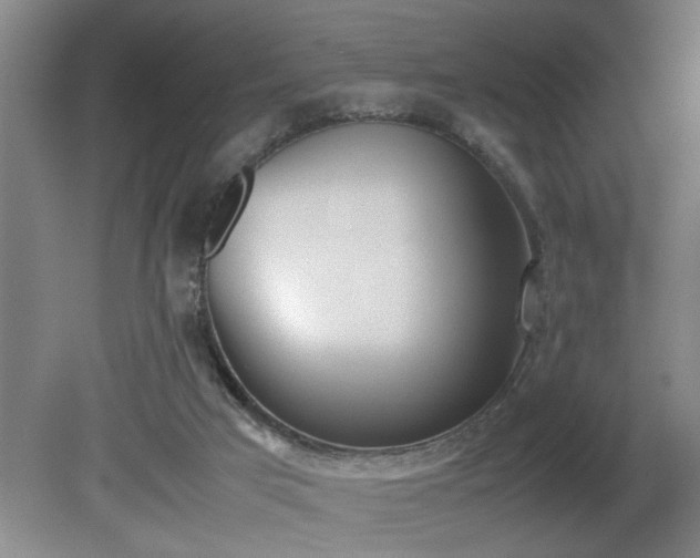 X0000081270017200701181729